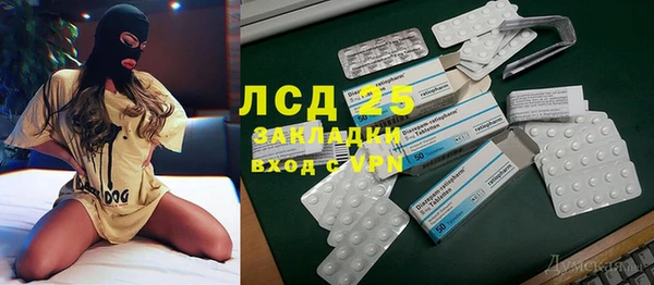 ГАЛЛЮЦИНОГЕННЫЕ ГРИБЫ Гатчина