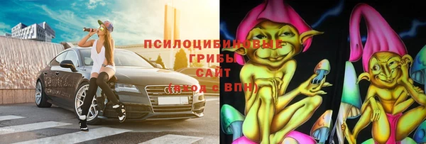 spice Галич