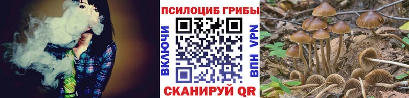 Галлюциногенные грибы GOLDEN TEACHER  Тавда 